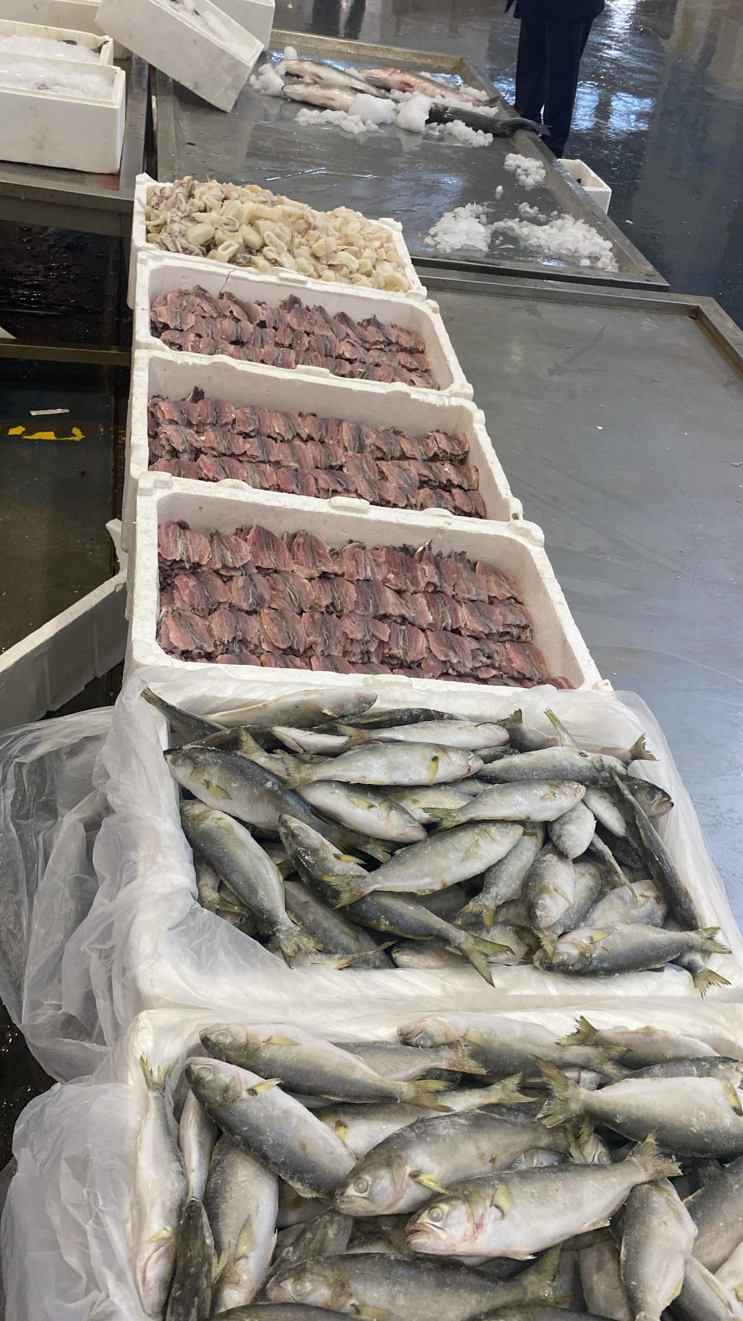 Okyanus Balıkçılık 